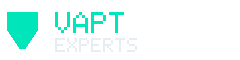 VAPT Experts